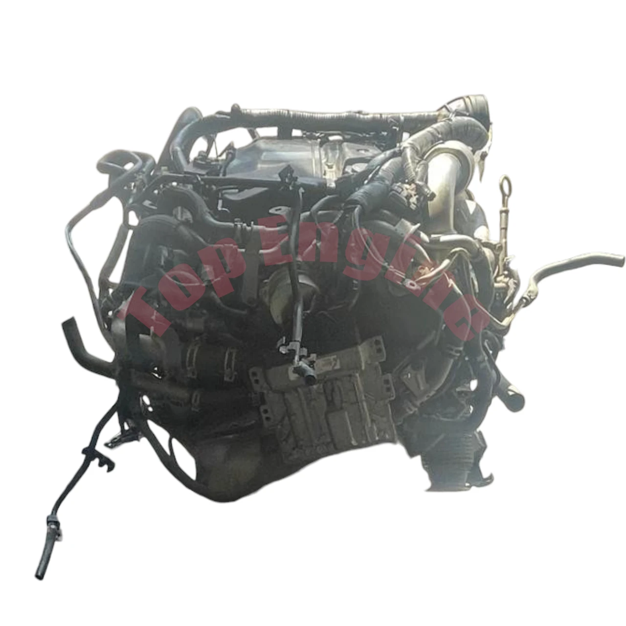 Nissan YS23 2.3L Twin Turbo Diesel Engine for Sale UAE | Navara NP300 & Mercedes X-Class image 5 UAE